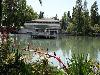 «Лебедь» гостиница - предварительное фото Лебединое озеро в парке