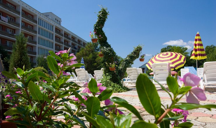 Фото отеля («Евпатория» туристско-оздоровительный комплекс) - Территория