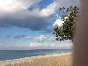 «Берег Эвкалиптов» отель - предварительное фото Пляж