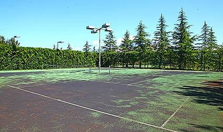 Фото отеля («Самшитовая роща» санаторий) - Теннисный корт