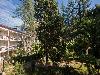 «HELIOPARK Gora Bagrata» / «Гелиопарк Гора Царя Баграта» отель - предварительное фото Внешний вид