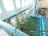 «Приднепровский» санаторий - предварительное фото Бассейн с минеральной водой