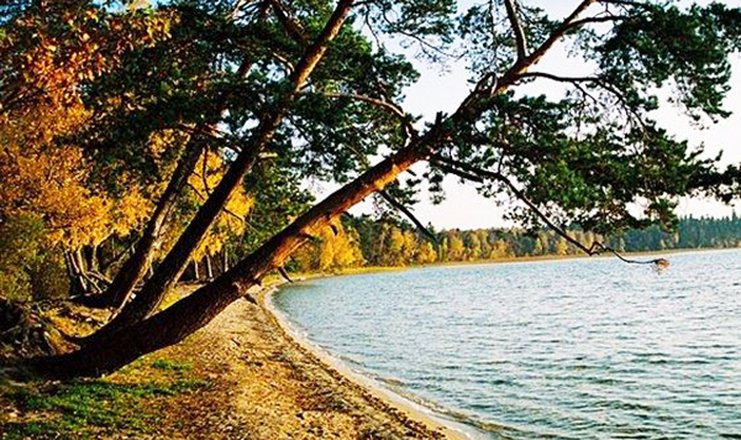Фото отеля («Свитязь» санаторий) - Озеро Свитязь