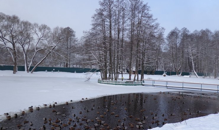 Фото отеля («Белорусочка» санаторий) - Территория. Зима