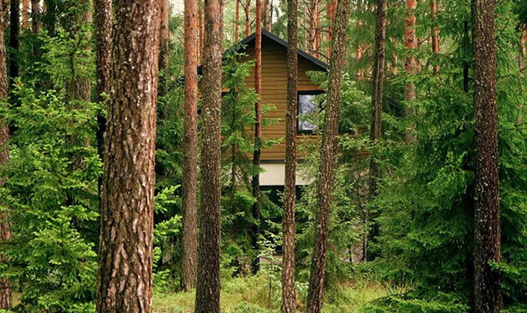Фото отеля («Ислочь-Парк» оздоровительный комплекс) - Спрятанный в лесу гостевой дом