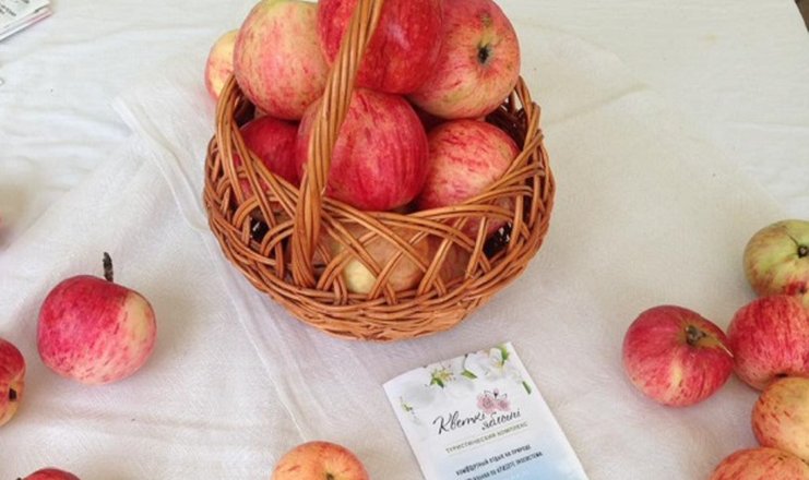 Фото отеля («Кветки яблыни» пансионат) - Урожай яблок