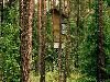 «Ислочь-Парк» оздоровительный комплекс - предварительное фото Спрятанный в лесу гостевой дом