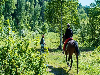 «Горное озеро» туристическая база - предварительное фото Конные прогулки