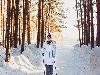 «Карагайский бор» санаторий - предварительное фото Скандинавская ходьба