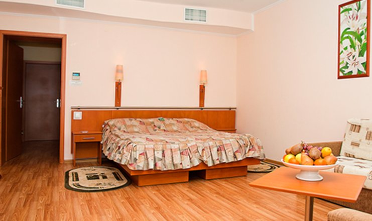 Фото номера («Машук Аква-Терм» санаторий) - Повышенной комфортности 2-местный 1-комнатный в корпусе С (Junior Suite)