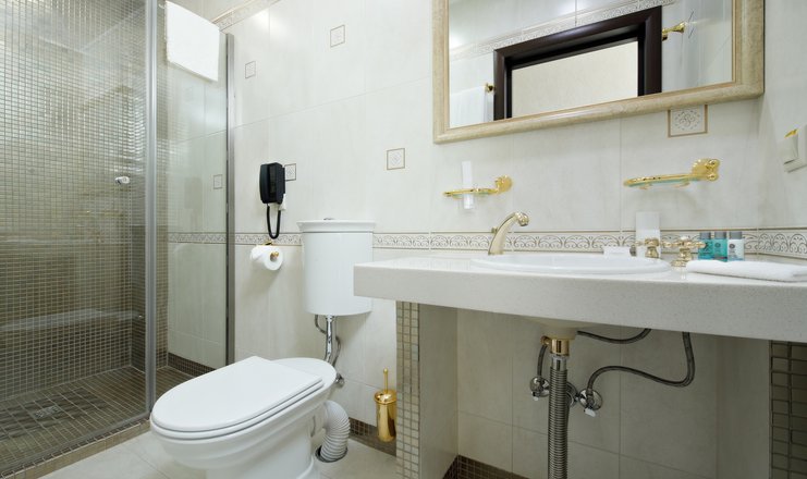 Фото номера («Русь» санаторий) - Апартамент 2-местный 3-комнатный  - гостевая ванная комната (1)