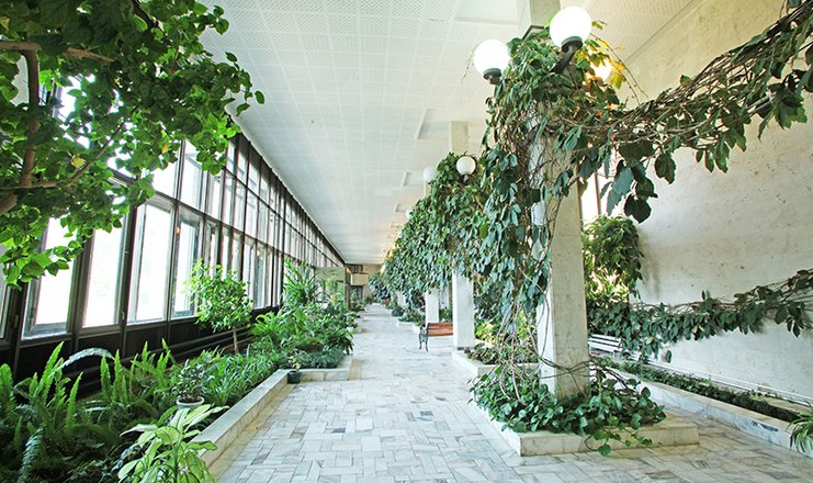Фото отеля («Горный воздух» санаторий) - Зимний сад