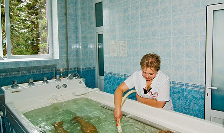 Фото отеля («Им. Горького» санаторий) - Лечение