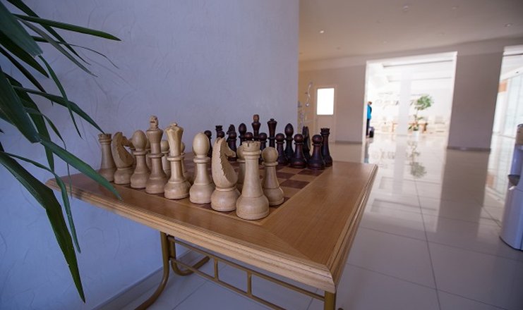 Фото отеля («Гренада» пансионат) - Шахматы