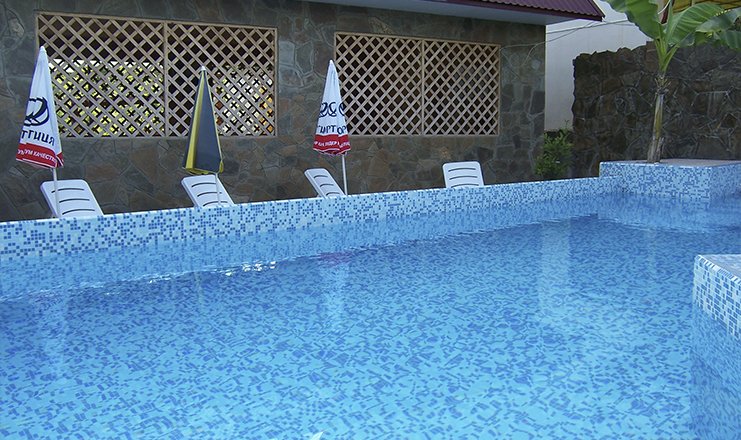 Фото отеля («У Никитича» гостевой дом) - бассейн рядом с баром