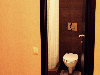 «Рио» отель - предварительное фото Стандарт 2-местный TWIN без балкона