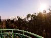 «Золотая Пальма» гостиница - предварительное фото Стандарт 2-местный вид на море с балконом