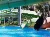 «Alean Family Resort & Spa Doville / Довиль» отель - предварительное фото Горки