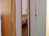 «Альтаир Витязево» гостевой дом - предварительное фото Общий коридор у блочных номеров