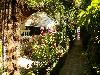 «Эдельвейс» гостевой дом - предварительное фото Территория