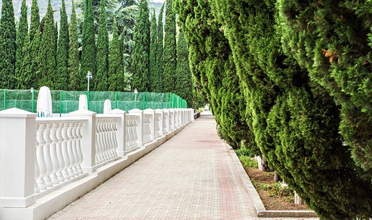 Фото отеля («Алушта» санаторий) - Парк у теннисного корта