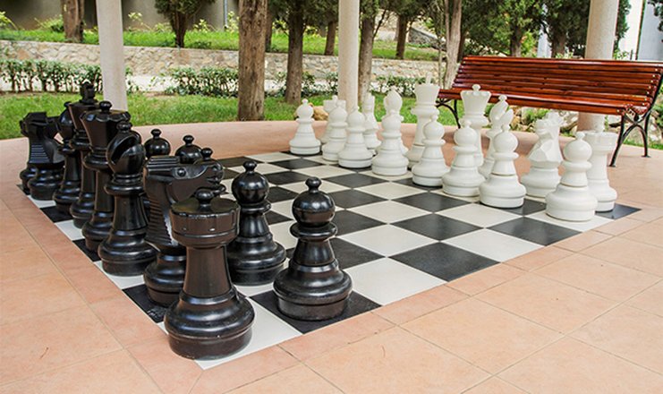 Фото отеля («Алушта» санаторий) - Шахматы