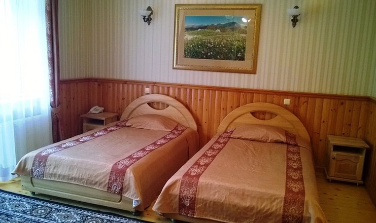 Фото отеля («Князь Голицын» гостиный двор) - Студио 2-местный (вид на горы)