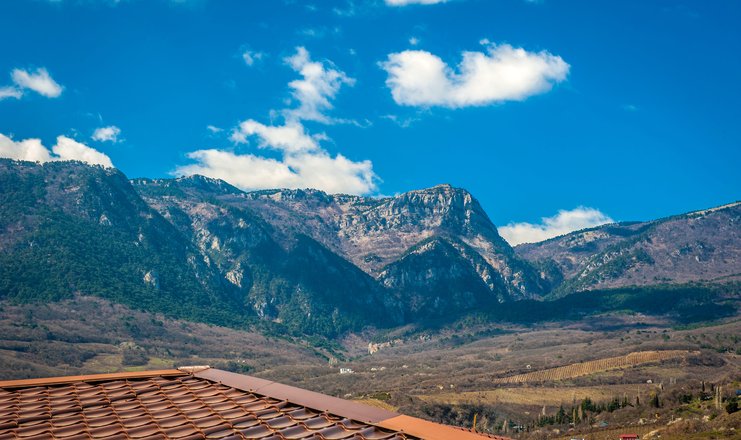Фото отеля («Мускатель» бутик-отель) - Вид на горы