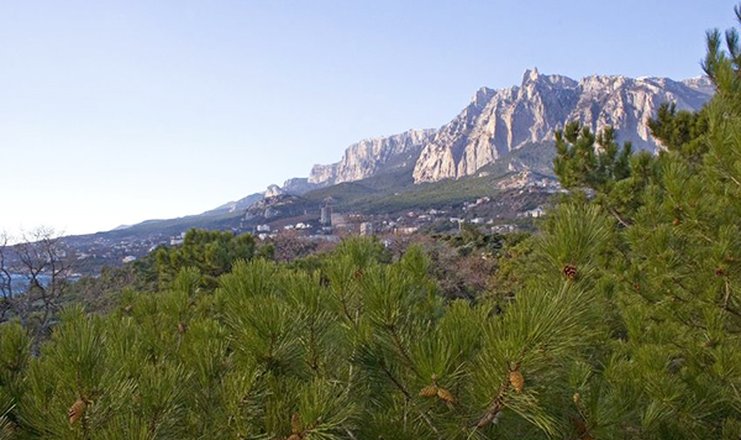 Фото отеля («Сосновая Роща» санаторий) - Вид на гору Ай-Петри