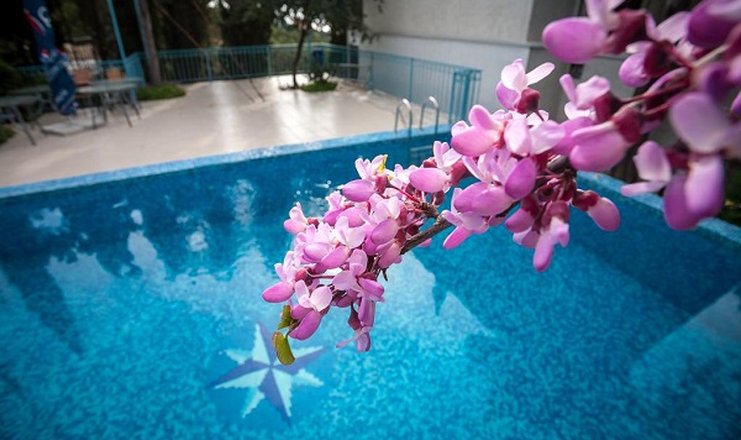 Фото отеля («Вилла Эдем» гостевой дом) - Открытый бассейн