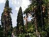 «Левант» отель - предварительное фото Приморский парк Пальмовая аллея