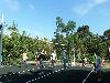 «Романова» парк-отель - предварительное фото Волейбол