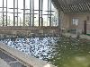 «Северный» ОЛЦ-пансионат - предварительное фото Крытый бассейн с минеральной водой