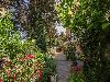 «Вилла Багратион» гостевой дом - предварительное фото Сад на территории