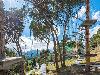 «Yalta-Intourist» / «Ялта-Интурист» отель - предварительное фото Веревочный парк отеля Ялта-Интурист Green Park