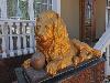 «Золотой Лев» вилла - предварительное фото Территория