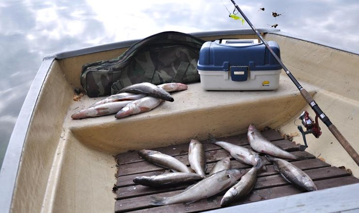 Фото отеля («Озеро Зеркальное» база отдыха) - Рыбалка