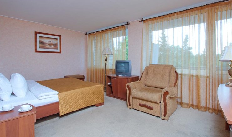 Фото отеля («Репинская» гостиница) - Комфорт 2-местный с джакузи