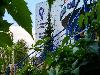 «Александровский сад» гостиница - предварительное фото Внешний вид