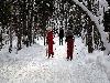 «Ягодная деревушка» база отдыха - предварительное фото Отдых в лыжах