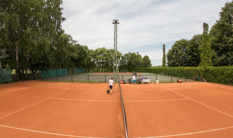 Фото отеля («Петрово-Дальнее» пансионат) - Теннисный корт
