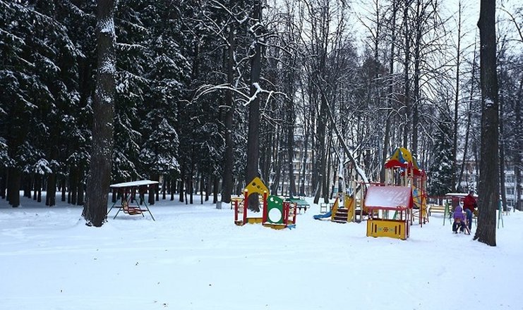 Фото отеля («Воздвиженское» парк-отель) - Зимой на детской площадке