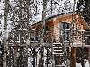 «Экоранчо Алексеевка» эко-отель - предварительное фото Дом 2-местный (дом на дереве)