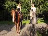 «Голицын Клуб» загородный комплекс - предварительное фото Прогулки на лошадях