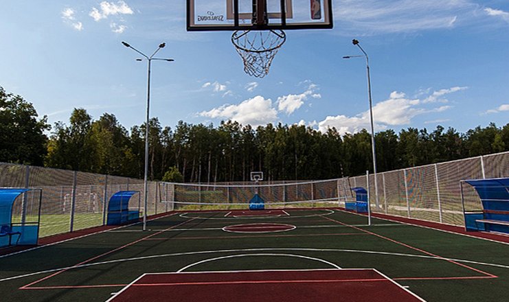 Фото отеля («Фестиваль» парк-отель) - Баскетбольная площадка