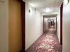 «Октябрьская» / «Oktyabrskaya hotel» гостиница (Санкт-Петербург) - предварительное фото Коридор