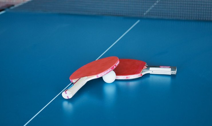 Фото отеля («Усадьба Александрово» отель) - Настольный теннис