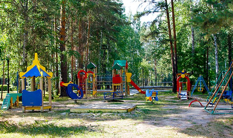 Фото отеля («Сибирь» санаторий) - Детская площадка