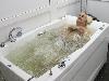 «Березовая роща» санаторий - предварительное фото Лечебные ванны