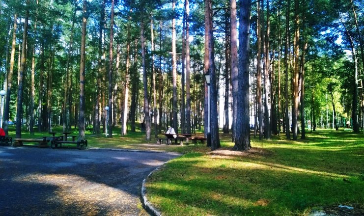 Фото отеля («Русский лес» санаторий) - Территория